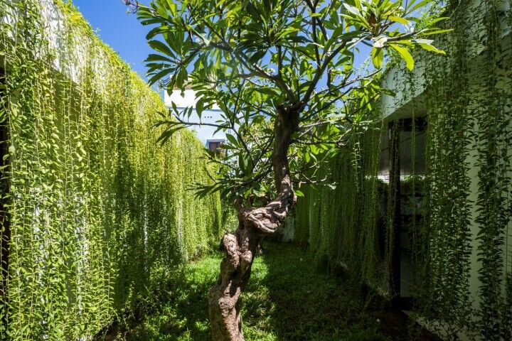 https://archello.com/story/146454/attachments/photos-videos/5 photo_credit Oki Hiroyuki
