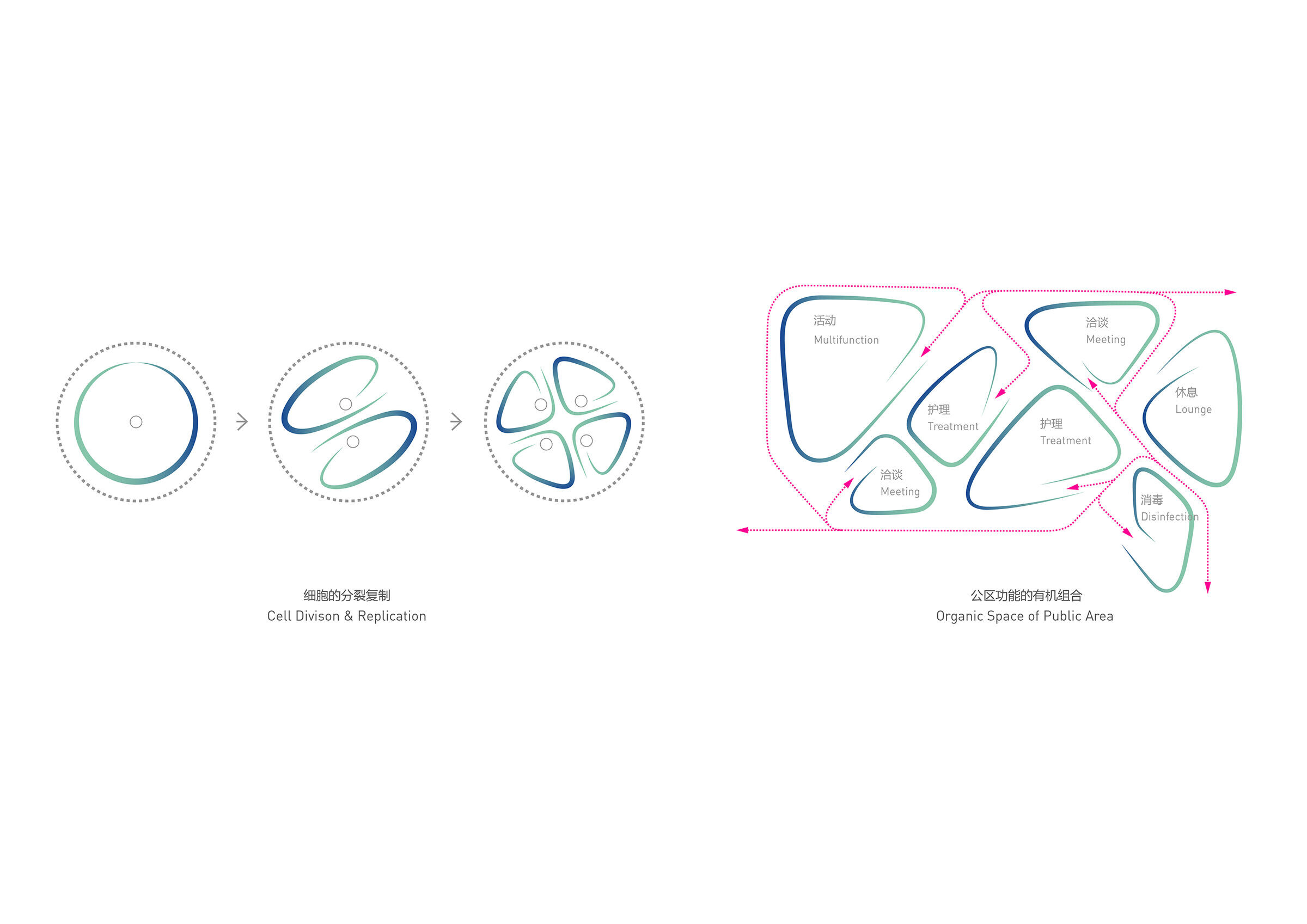 https://archello.com/story/146509/attachments/drawings/1