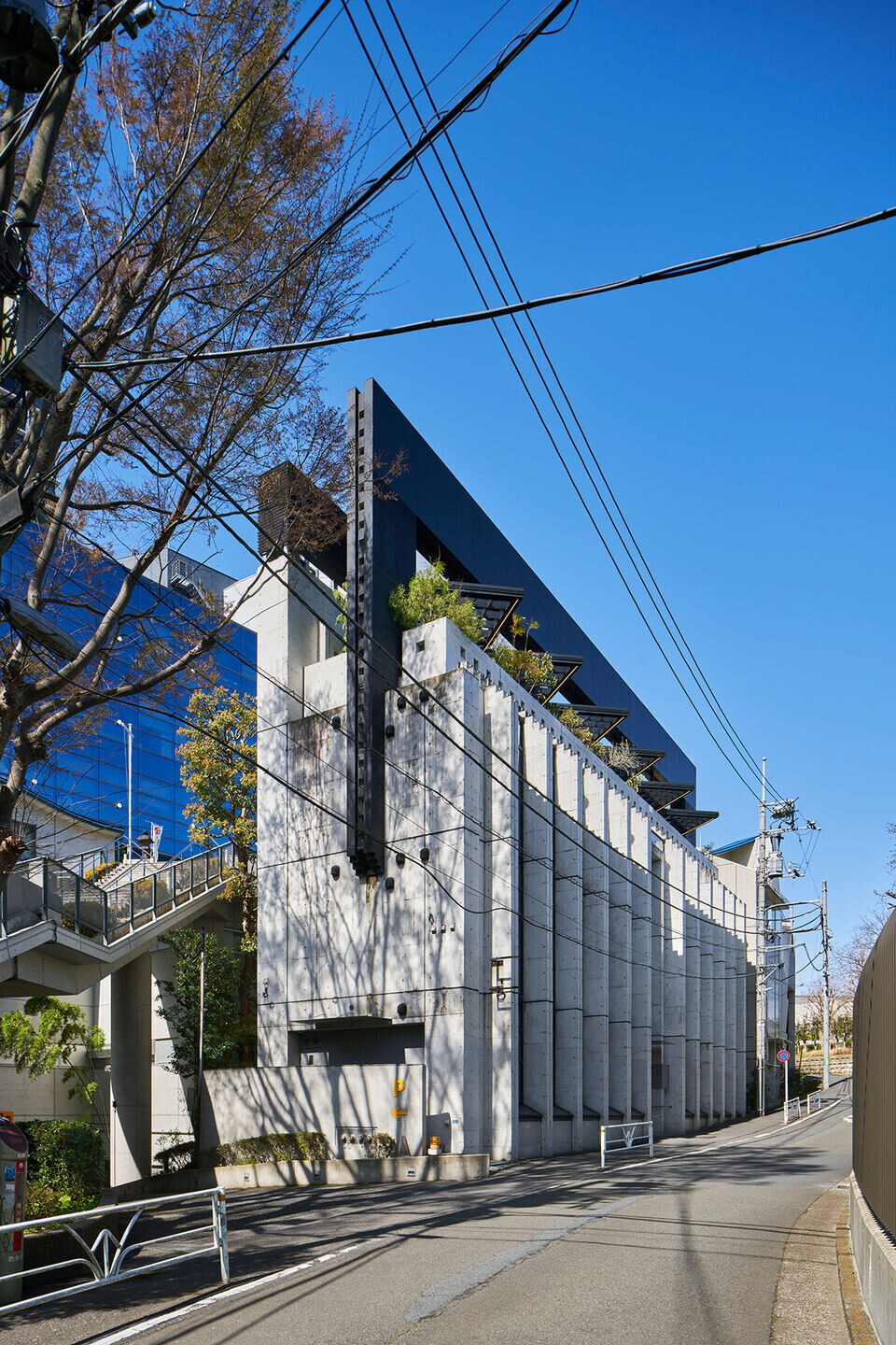 https://archello.com/story/146556/attachments/photos-videos/3 photo_credit Koji Fujii(TOREAL)