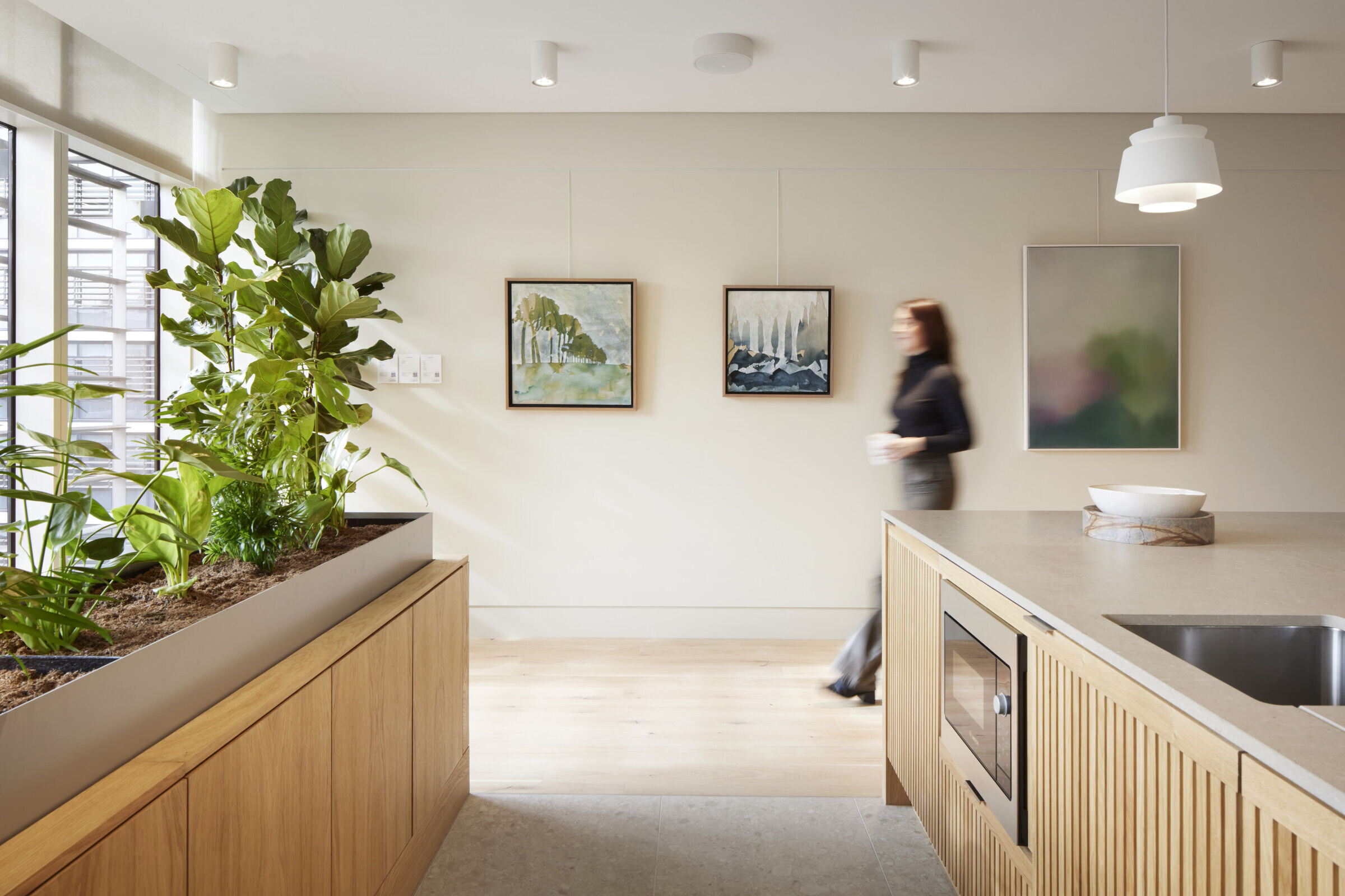 https://archello.com/story/147019/attachments/photos-videos/5 photo_credit Jack Hobhouse