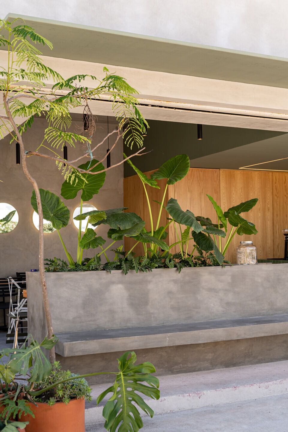https://archello.com/story/147147/attachments/photos-videos/6 photo_credit Mario Ocampo