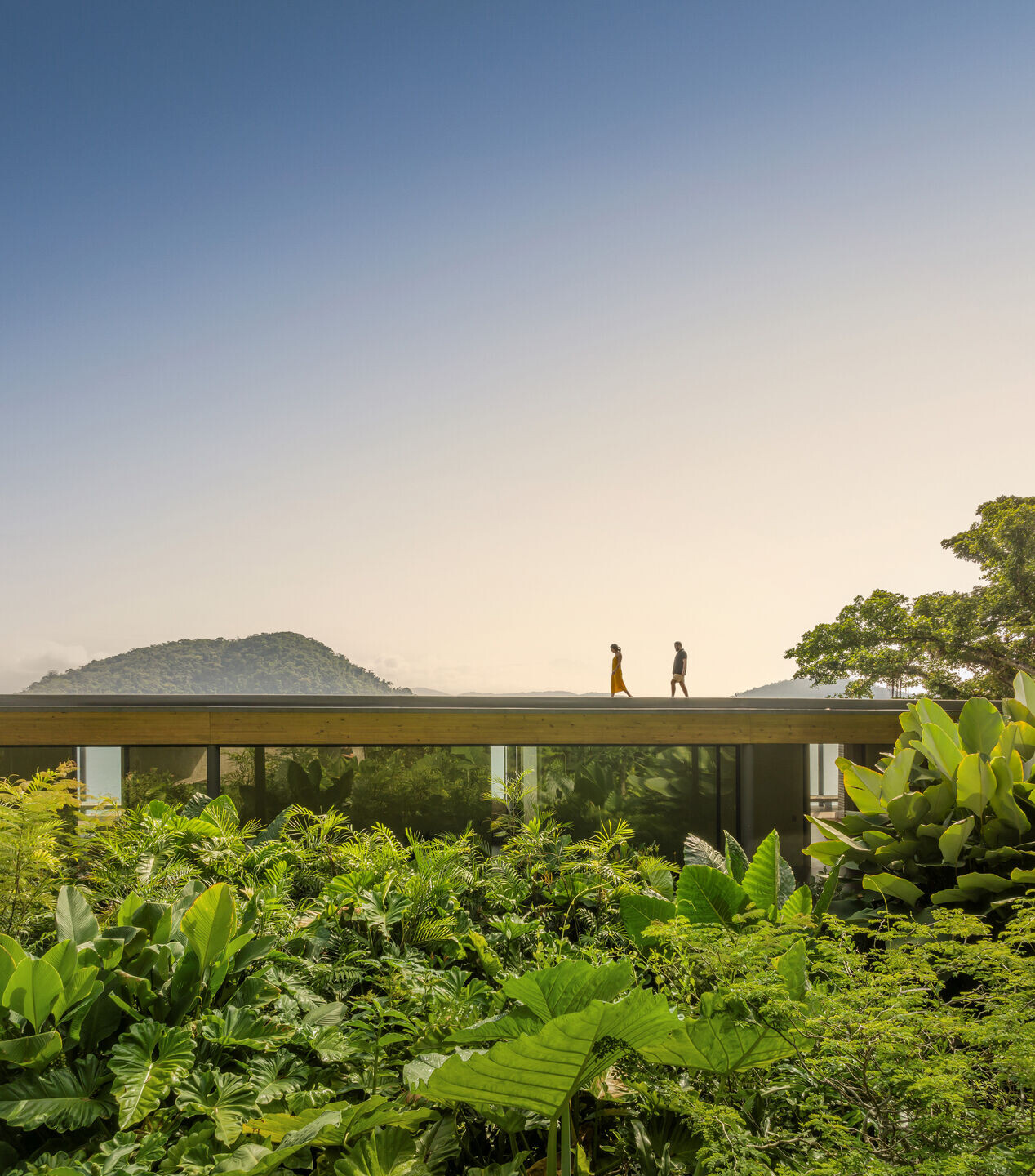 https://archello.com/story/147126/attachments/photos-videos/4 photo_credit Fernando Guerra