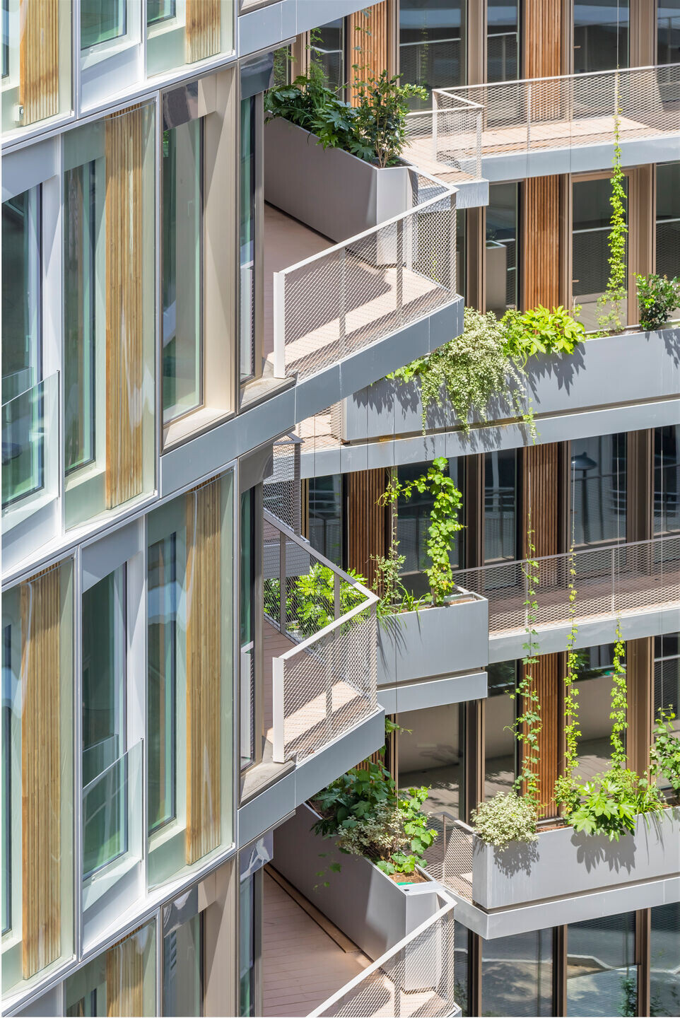https://archello.com/story/147286/attachments/photos-videos/39 photo_credit Stefan Tuchila
