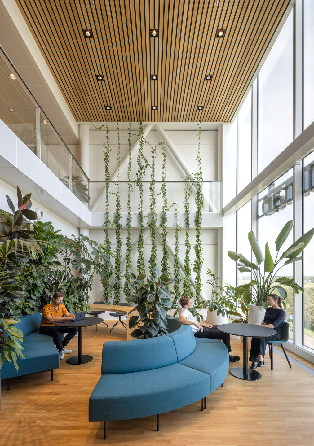 https://archello.com/story/147866/attachments/photos-videos/12 photo_credit Lucas van der Wee