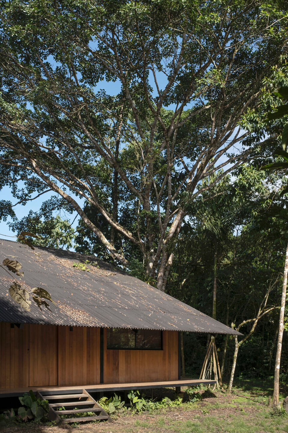 https://archello.com/story/147913/attachments/photos-videos/4 photo_credit Noma Photo