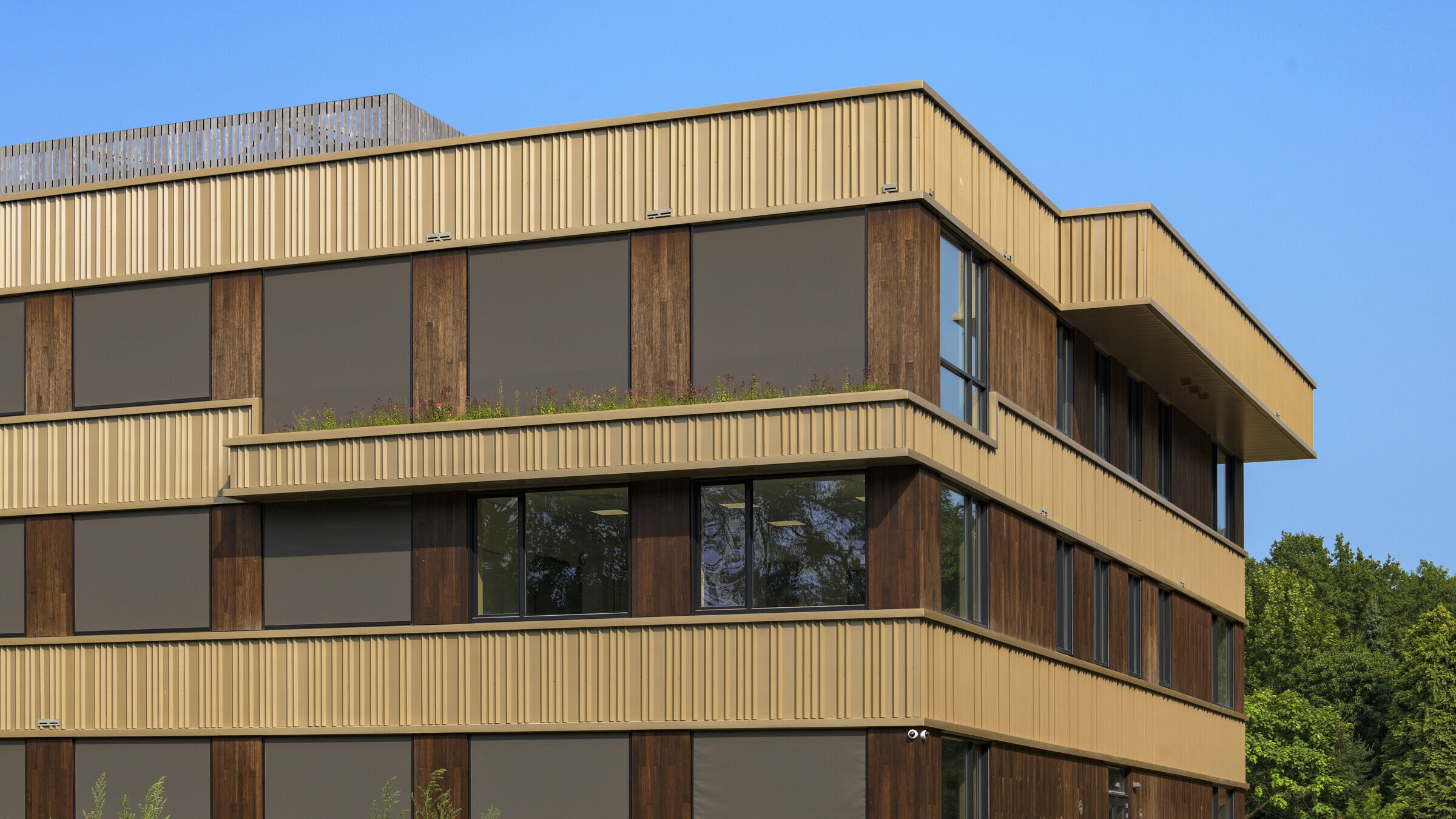 https://archello.com/story/148097/attachments/photos-videos/3 photo_credit Dirk Verwoerd