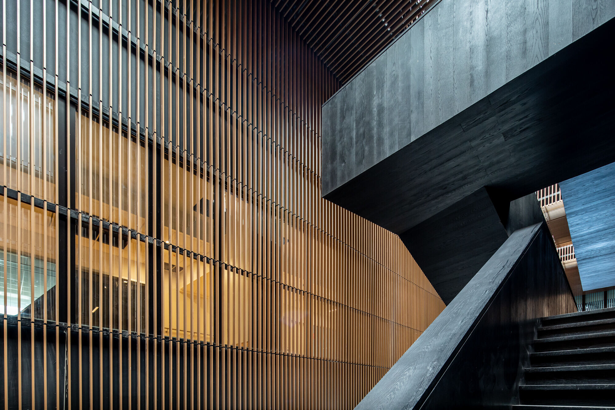 https://archello.com/story/148250/attachments/photos-videos/3 photo_credit © ARYEH KORNFELD