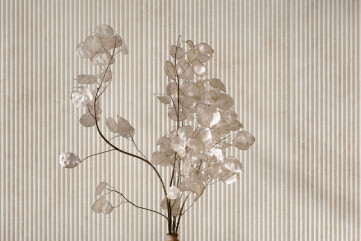 Travertino_Wall Travertino_Wall