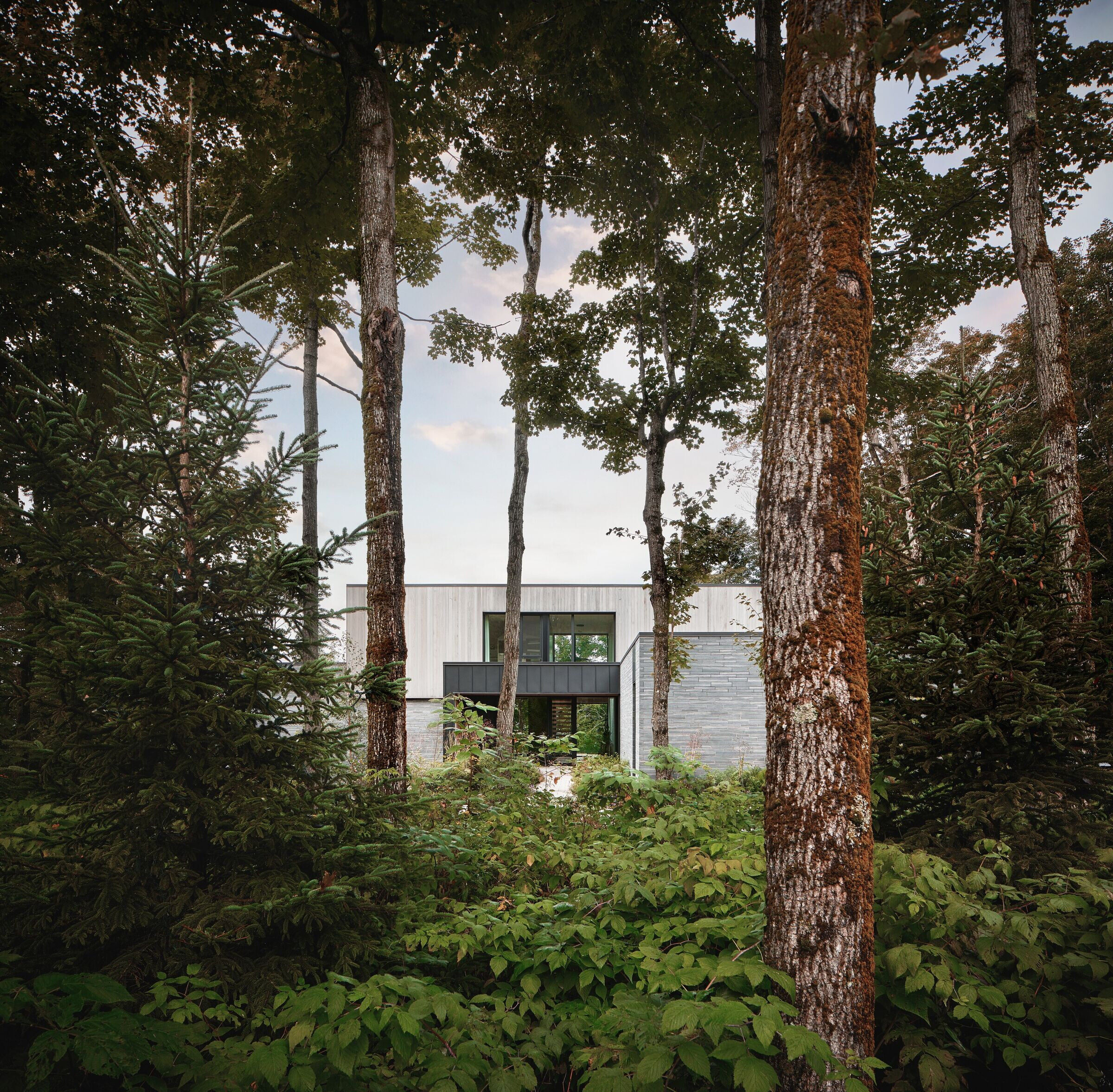 https://archello.com/story/148523/attachments/photos-videos/3 photo_credit Nanne Springer