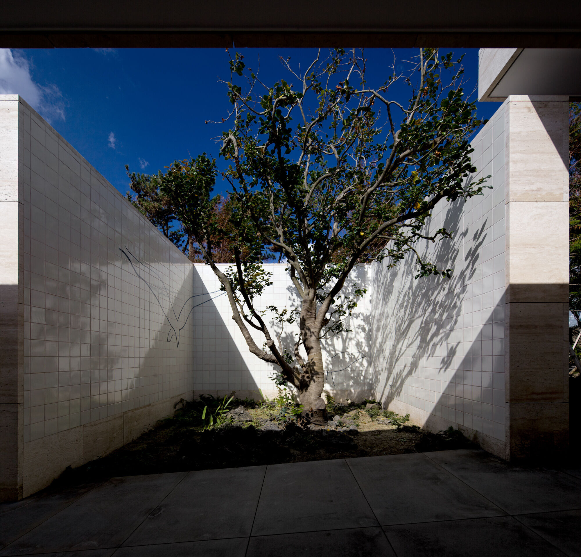 https://archello.com/story/148560/attachments/photos-videos/19 photo_credit © Fernando Guerra