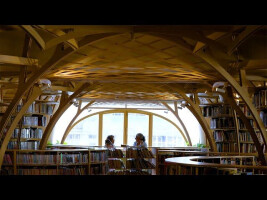 forest of knowledge