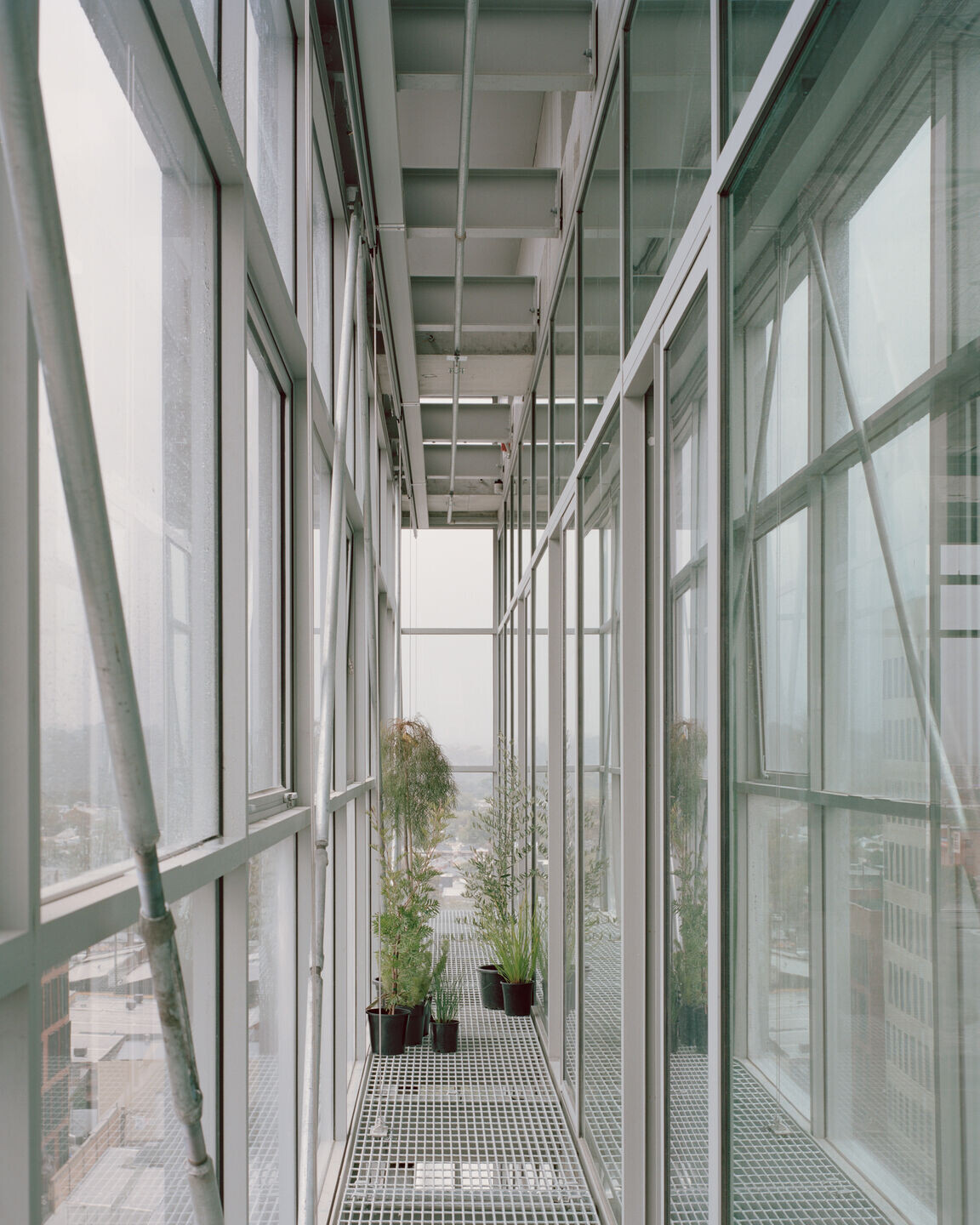 https://archello.com/story/148963/attachments/photos-videos/6 photo_credit Rory Gardiner