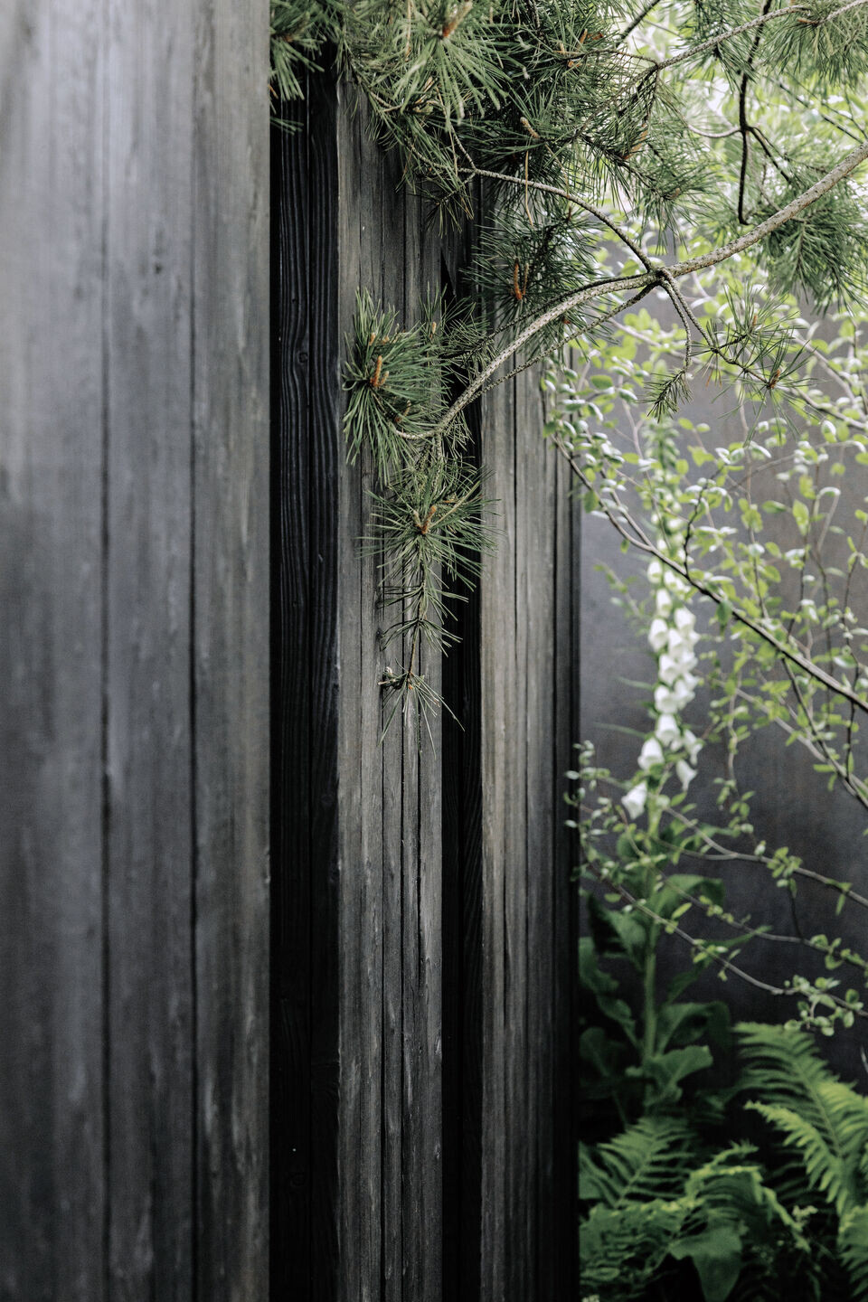 https://archello.com/story/150568/attachments/photos-videos/26 photo_credit Courtesy Of Koto