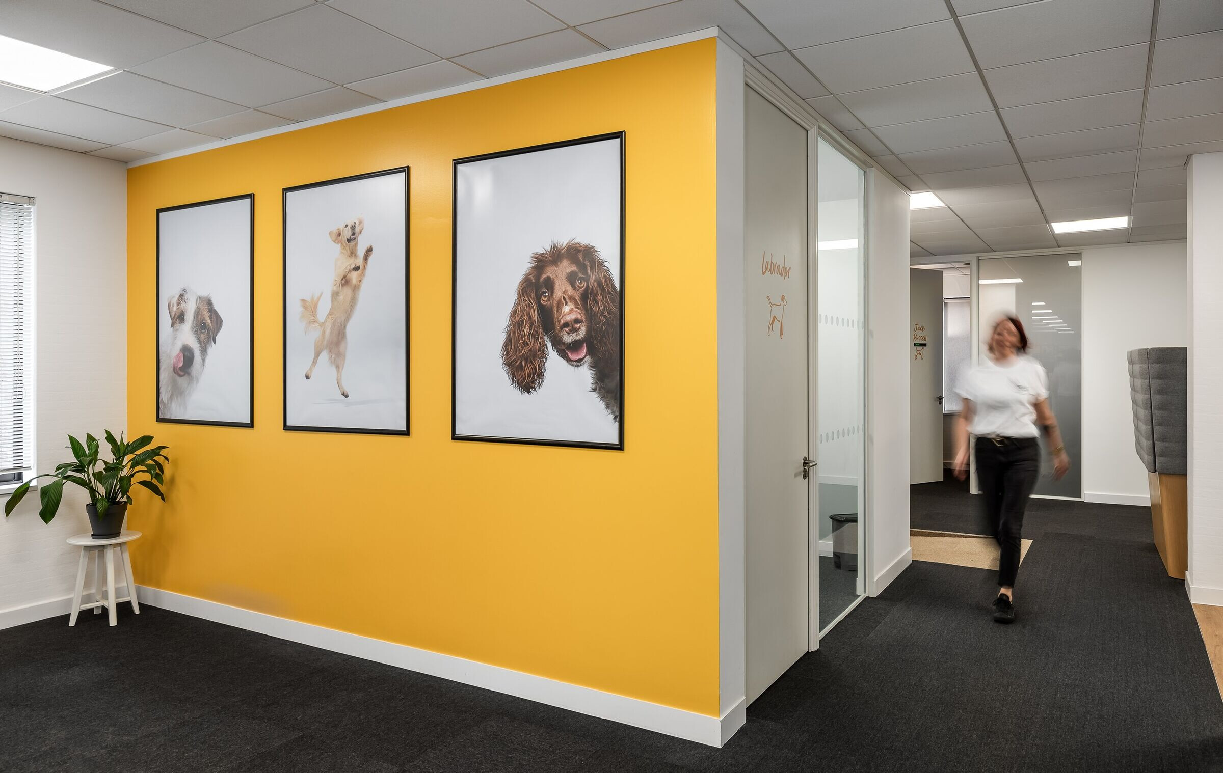 https://archello.com/story/150875/attachments/photos-videos/5 photo_credit Oliver Pohlmann