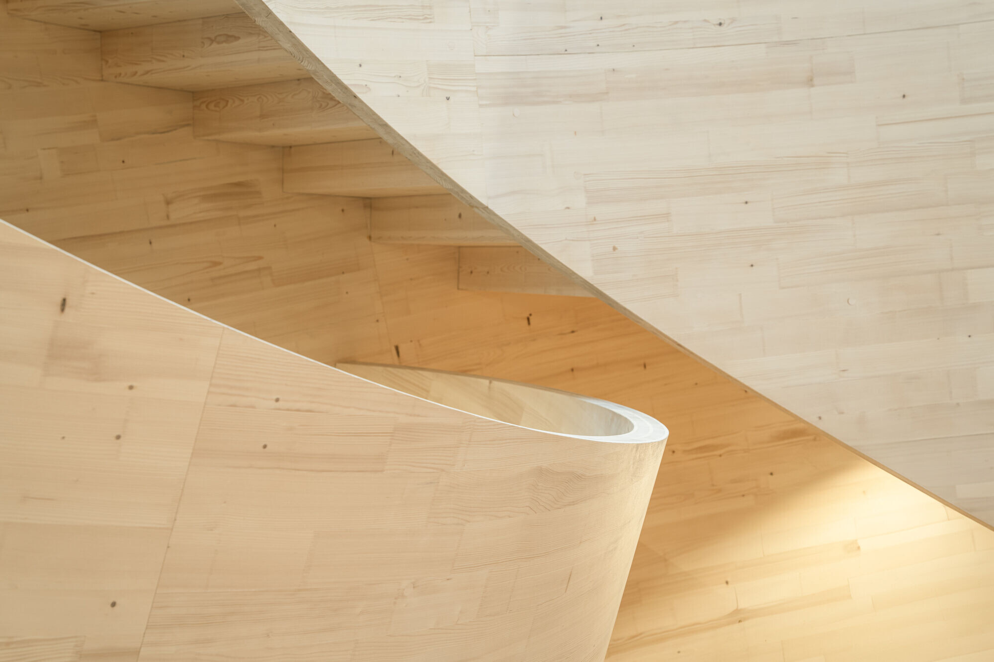 https://archello.com/story/151733/attachments/photos-videos/25 photo_credit © ICD University of Stuttgart