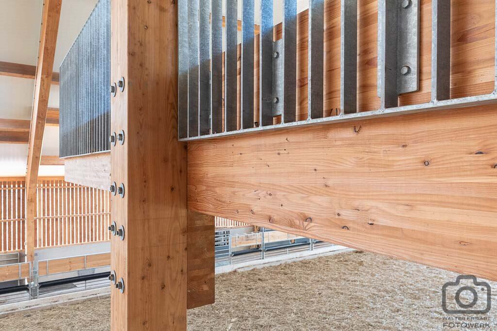 https://archello.com/story/152180/attachments/photos-videos/5 photo_credit Walter Frisart