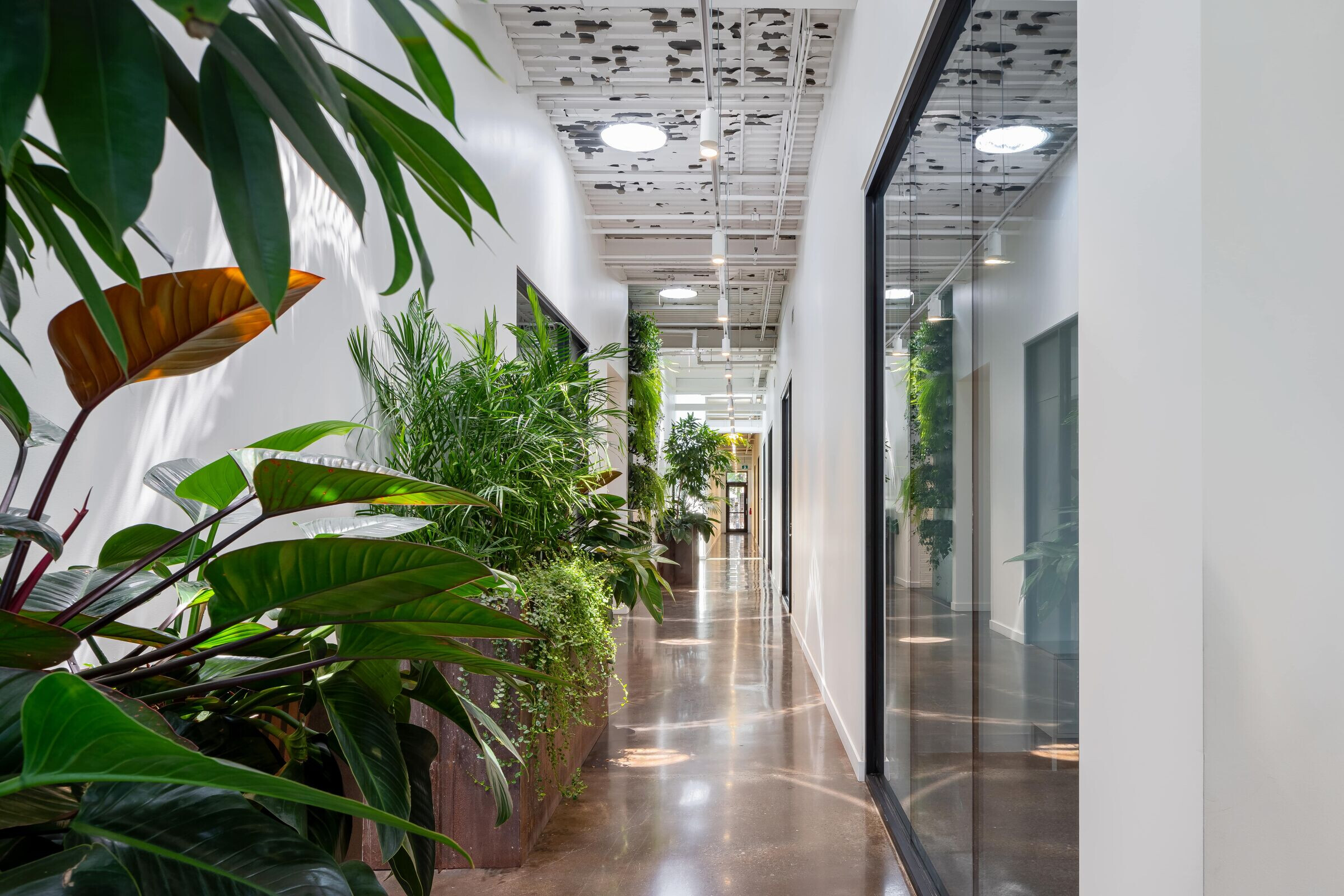 https://archello.com/story/152167/attachments/photos-videos/6 photo_credit Scott Norsworthy