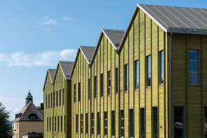 Introducing Partner Woodsafe