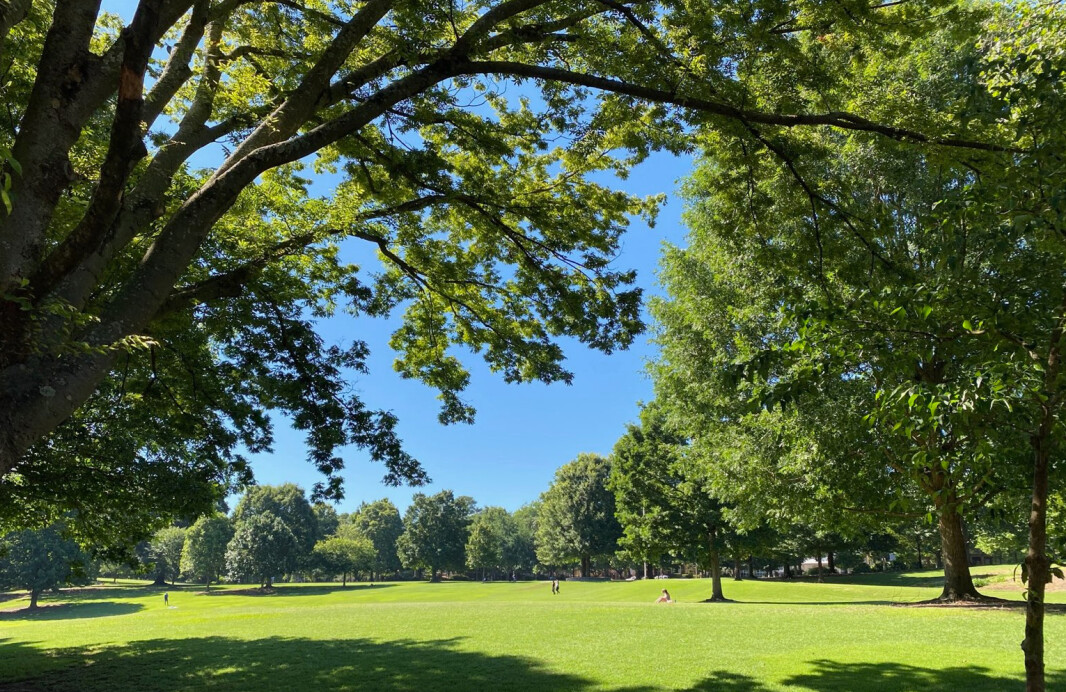 https://archello.com/story/152642/attachments/photos-videos/5 photo_credit Piedmont Park Conservancy