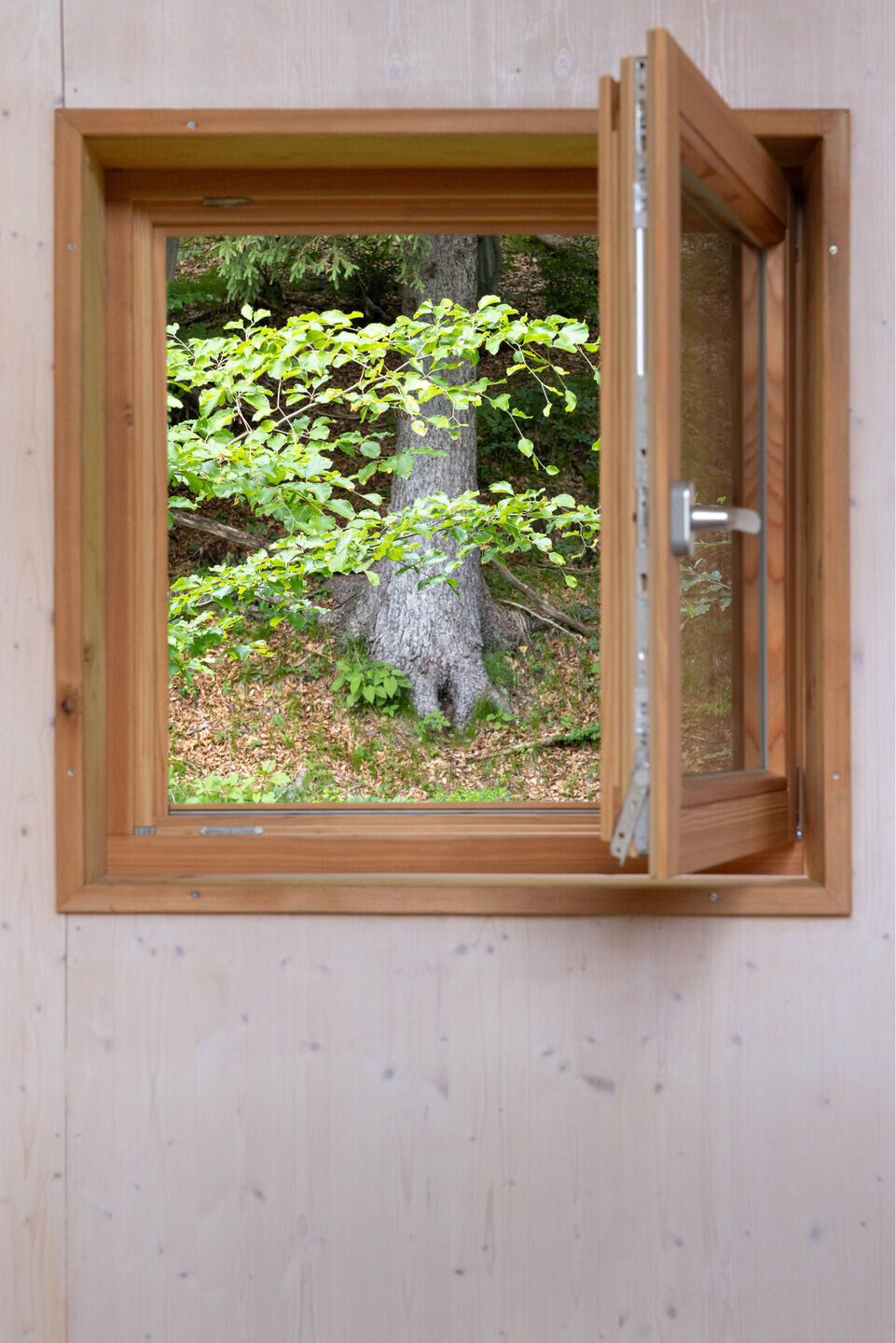https://archello.com/story/152633/attachments/photos-videos/5 photo_credit Matteo De Bernardini - Widespace studio