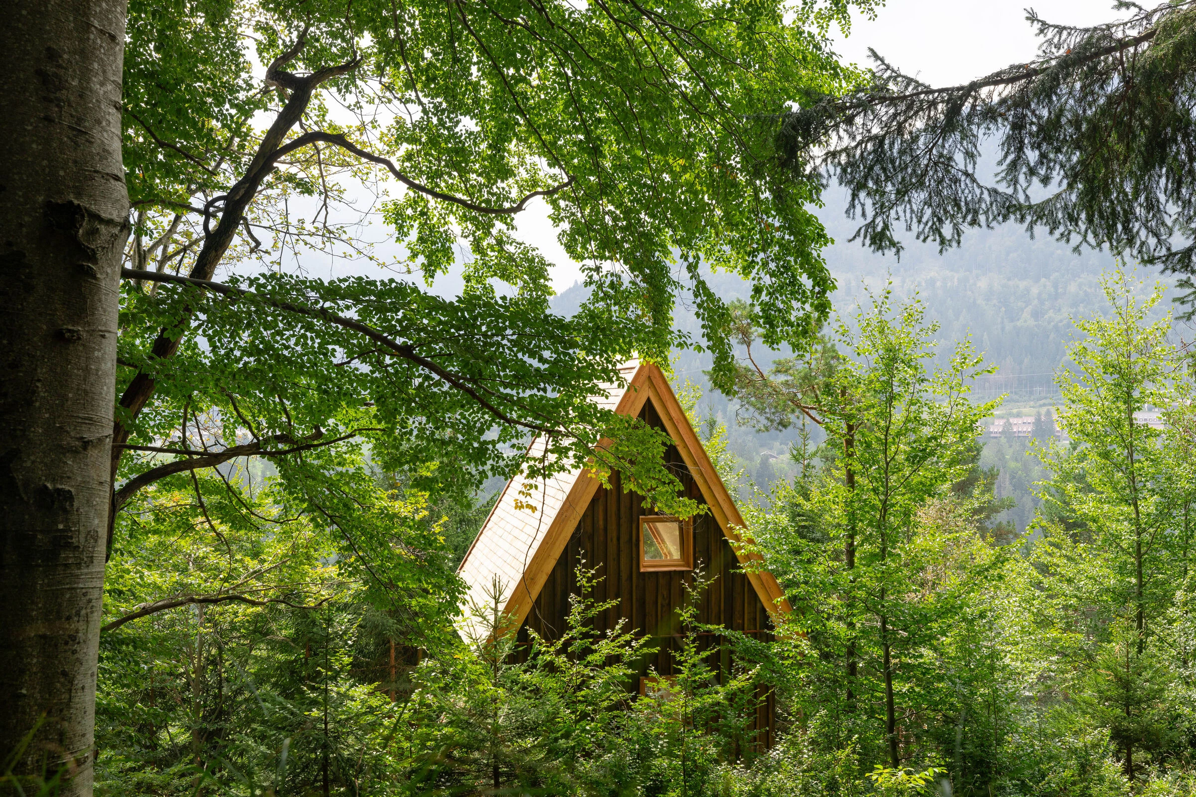 https://archello.com/story/152633/attachments/photos-videos/12 photo_credit Matteo De Bernardini - Widespace studio