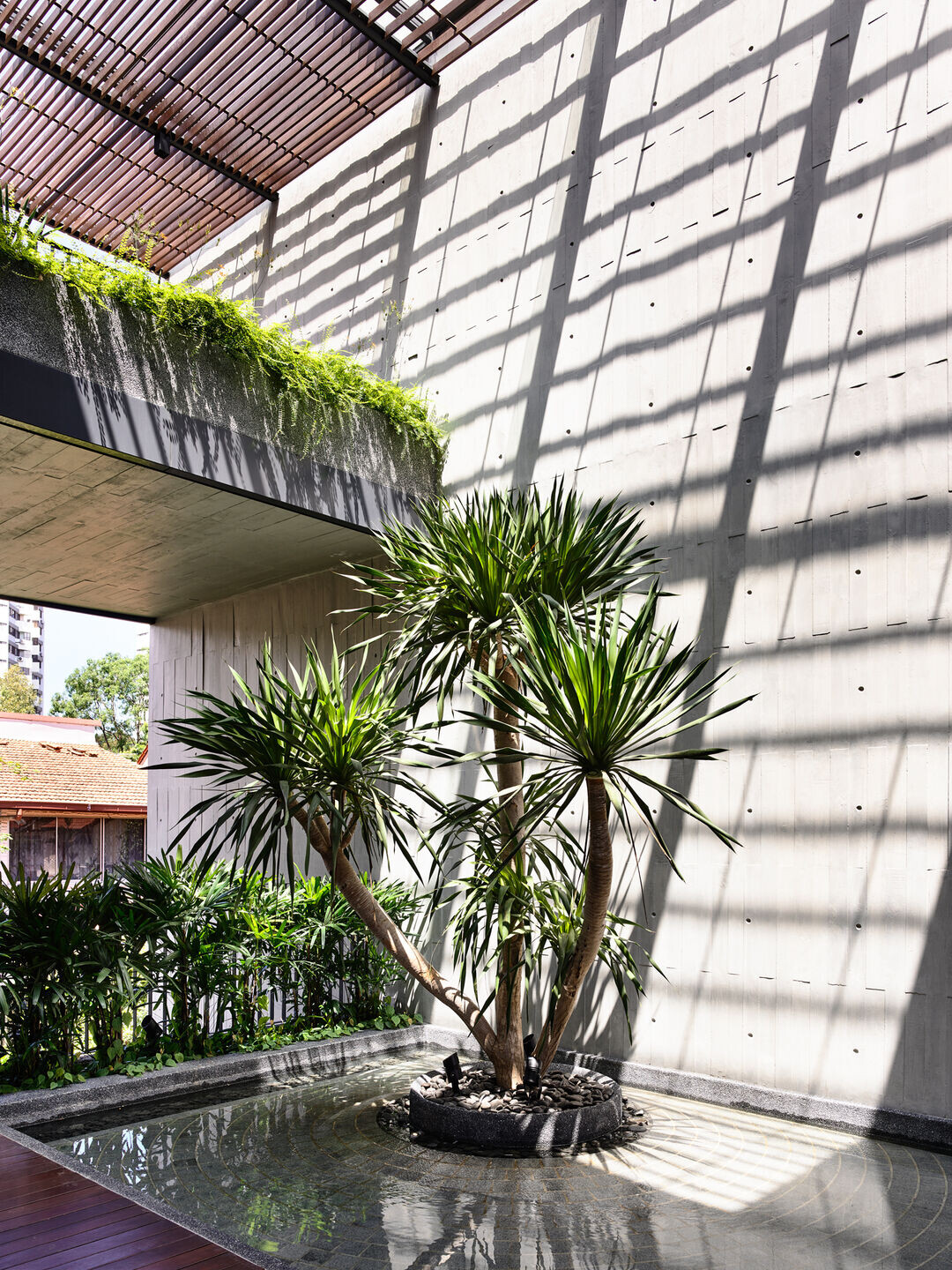 https://archello.com/story/152674/attachments/photos-videos/5 photo_credit Derek Swalwell
