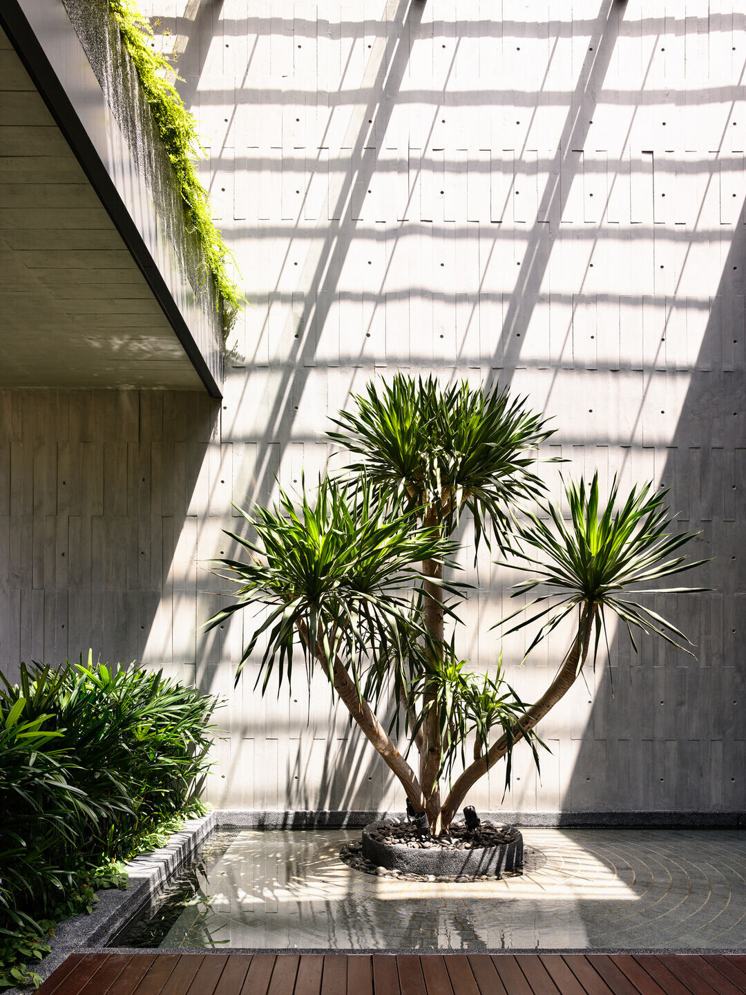 https://archello.com/story/152674/attachments/photos-videos/6 photo_credit Derek Swalwell