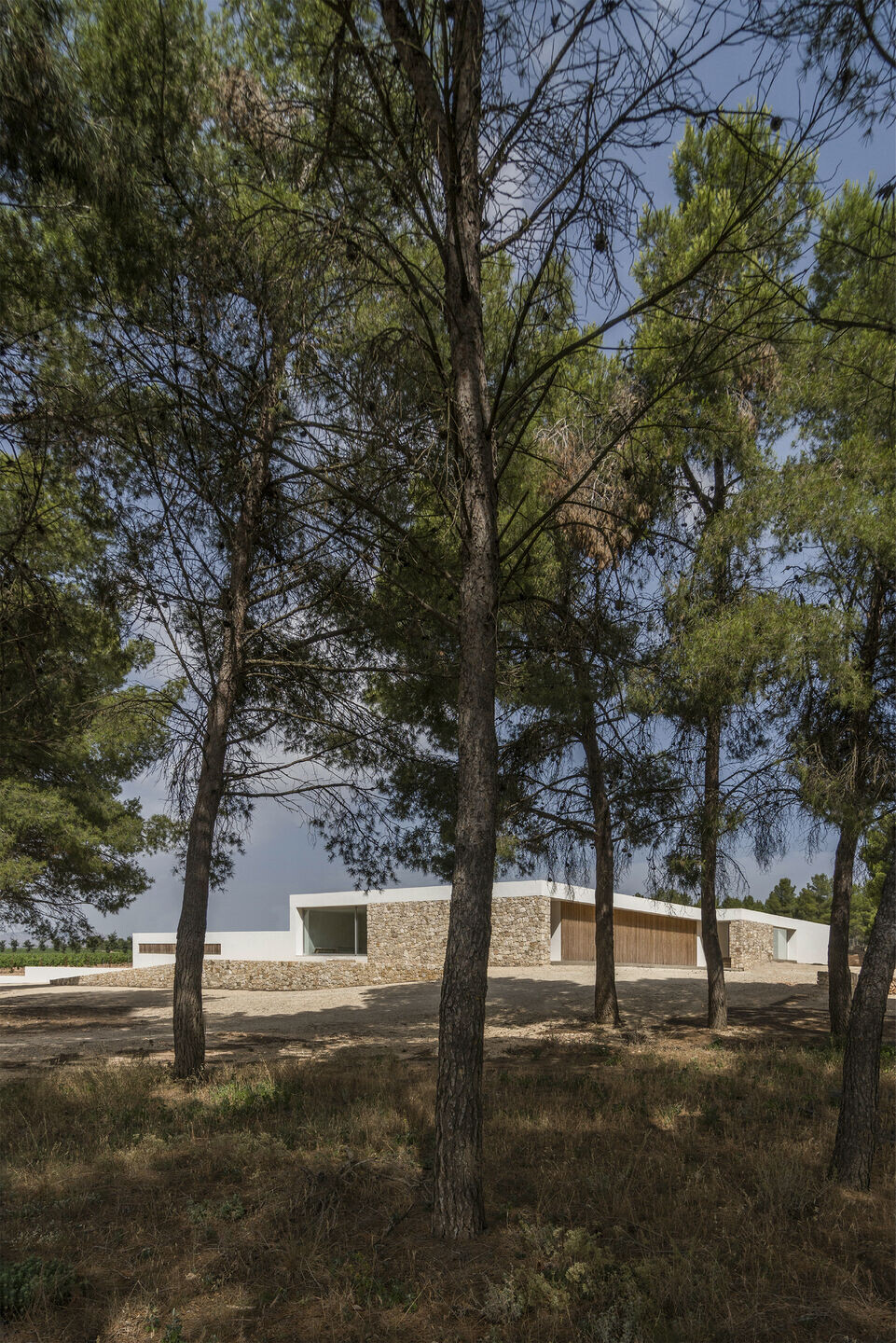 https://archello.com/story/153103/attachments/photos-videos/3 photo_credit Adrian Mora Moroto