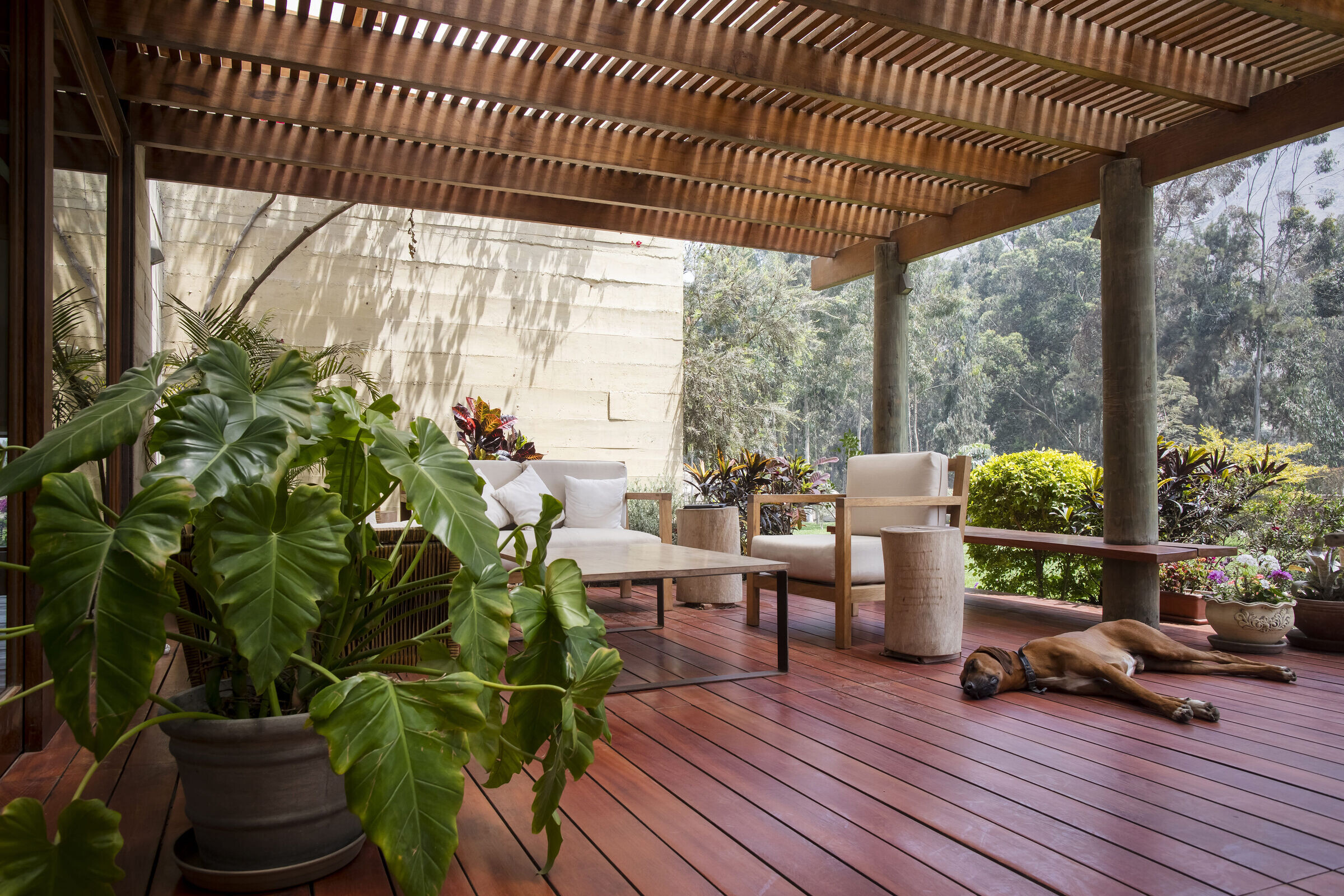 https://archello.com/story/154011/attachments/photos-videos/5 photo_credit Photo: Enrique Catro-Mendívil