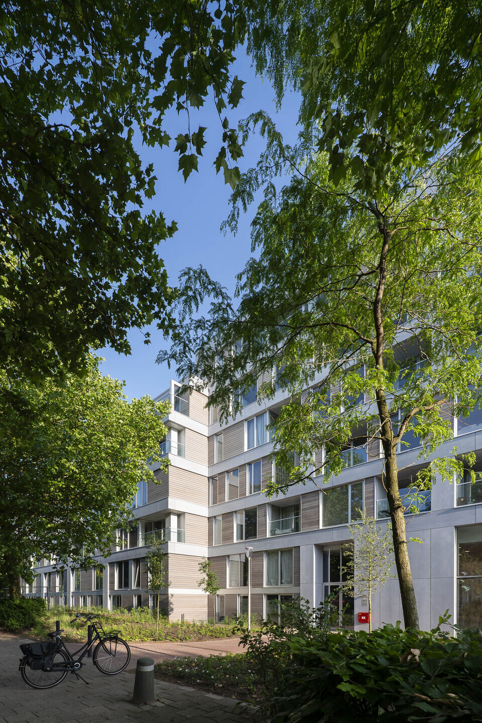https://archello.com/story/155220/attachments/photos-videos/7 photo_credit Alfred Lor