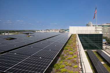 The Nature Conservancy