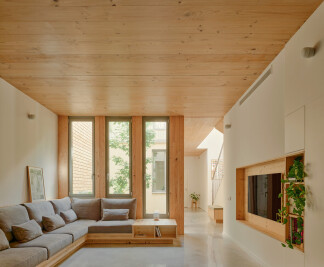 117BOF A house to live around a tree